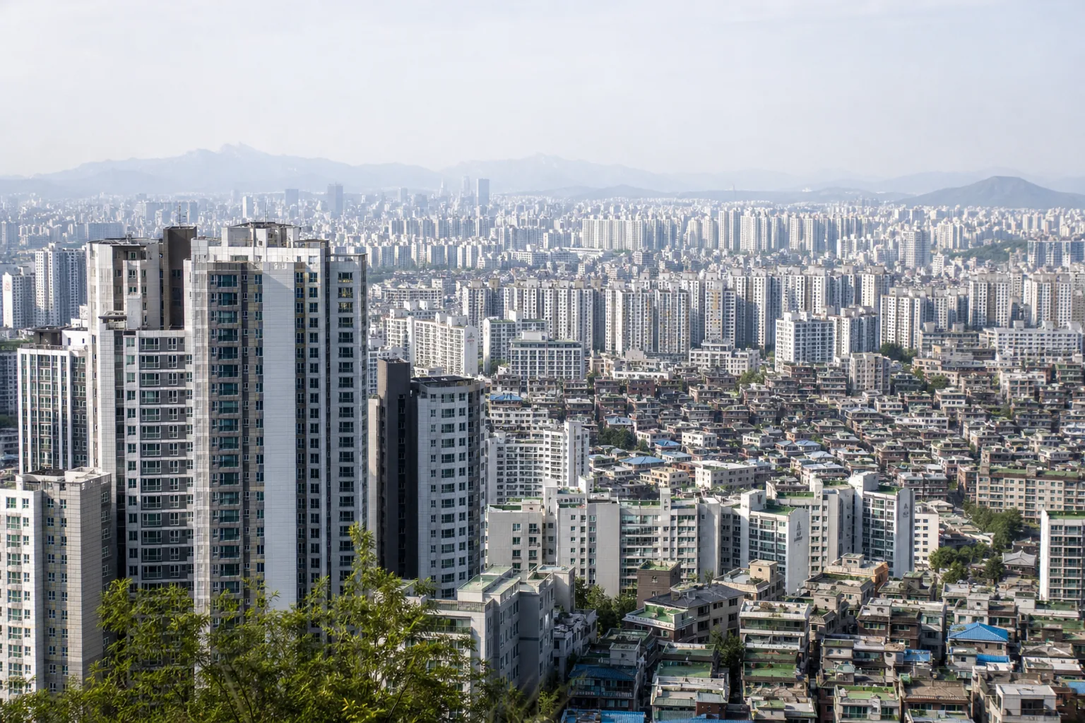전월세 부담과 청년 주거 안정 대책