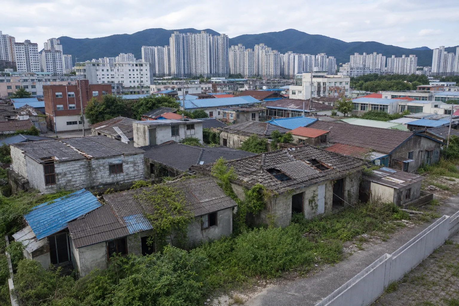 도심 주택가의 빈집을 조사하는 현장 점검 모습
