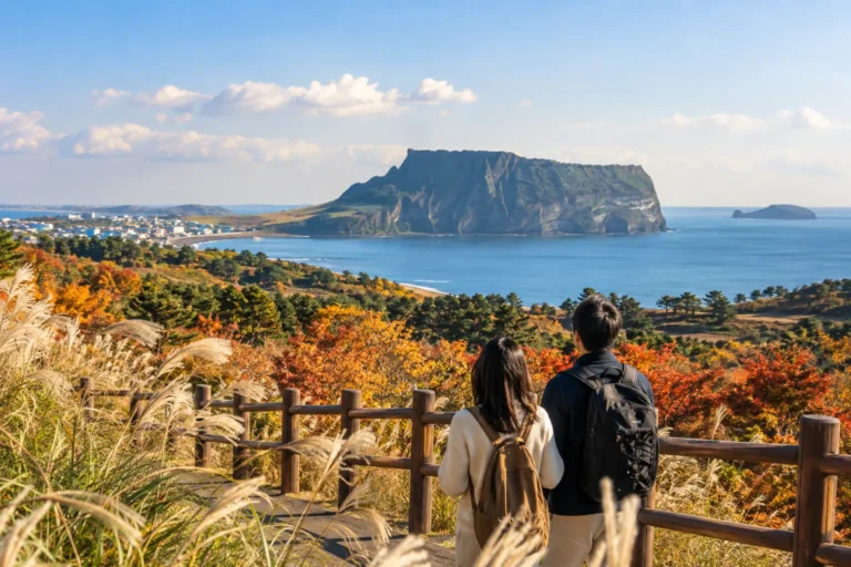 제주도, 가을 관광객 잡는다…10월 국내외 유치 마케팅 - v.daum.net 관련 여행 뉴스 대표 이미지